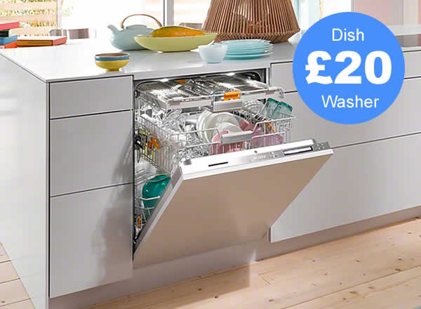 dishwasher cleaning service