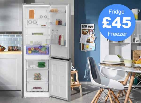 fridge freezer cleaning service